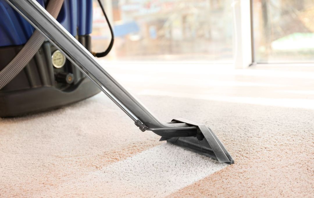 Carpet cleaned in a Bay Area home by the NobleClean SF residential team